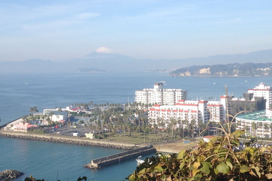 🏞️ 오사키 공원 (오사키 코엔) 이미지 4